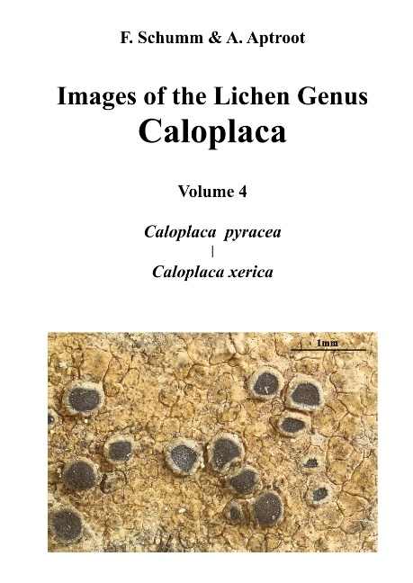 Images of the Lichen Genus Caloplaca, Vol4 - Felix Schumm