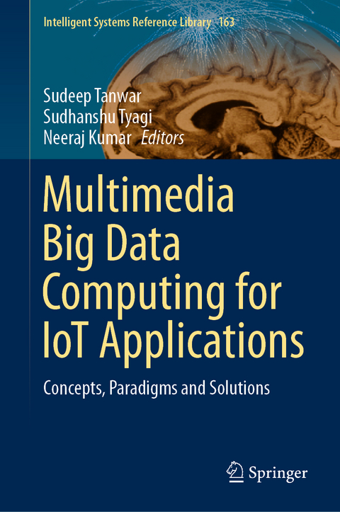 Multimedia Big Data Computing for IoT Applications - 