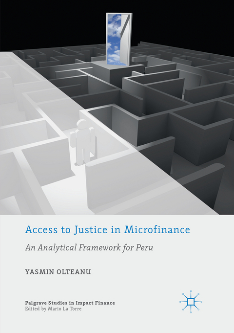 Access to Justice in Microfinance - Yasmin Olteanu