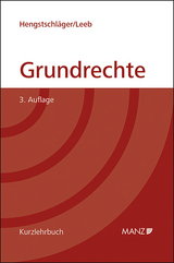 Grundrechte - Johannes Hengstschläger, David Leeb