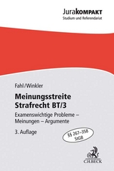 Meinungsstreite Strafrecht BT/3 - Fahl, Christian; Winkler, Klaus