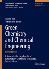 Green Chemistry and Chemical Engineering - Han, Buxing; Wu, Tianbin