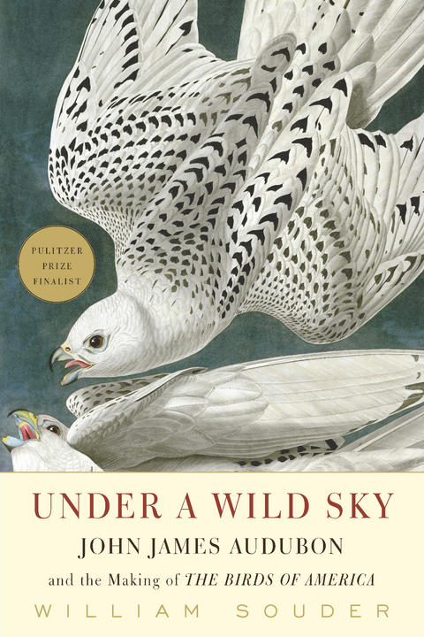 Under a Wild Sky -  William Souder