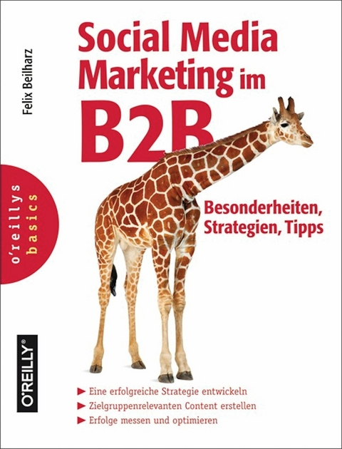 Social Media Marketing im B2B - Besonderheiten, Strategien, Tipps -  Felix Beilharz