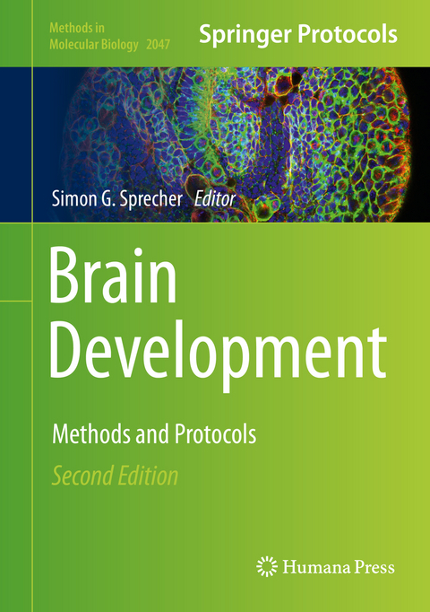 Brain Development - 