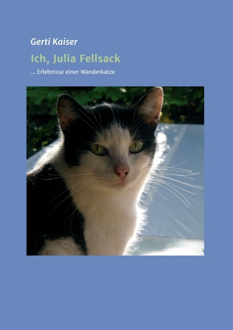 Ich, Julia Fellsack - Gerti Kaiser