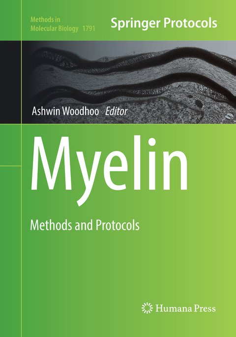 Myelin - 