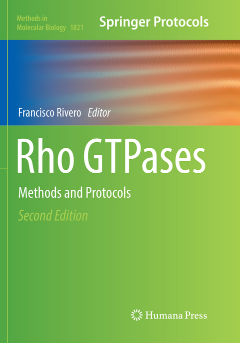 Rho GTPases - 