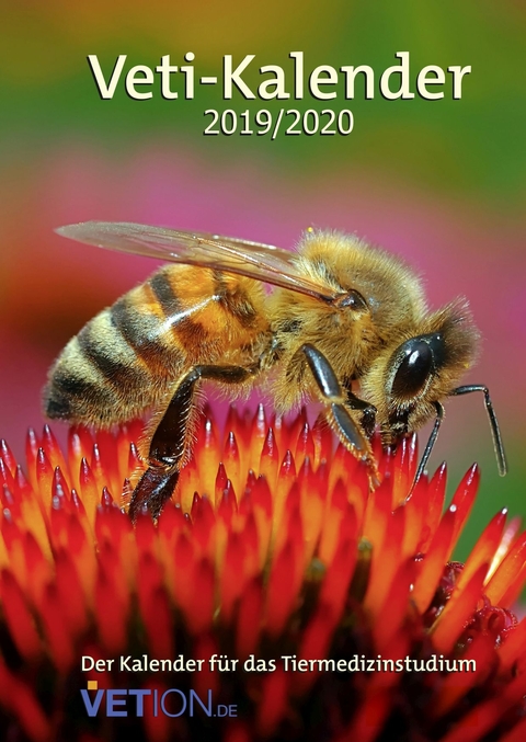 Veti-Kalender 2019/2020 - 