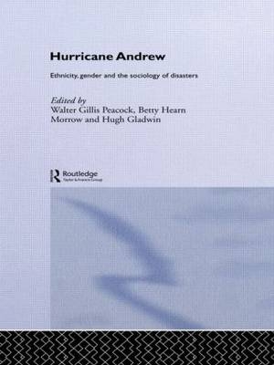 Hurricane Andrew - 