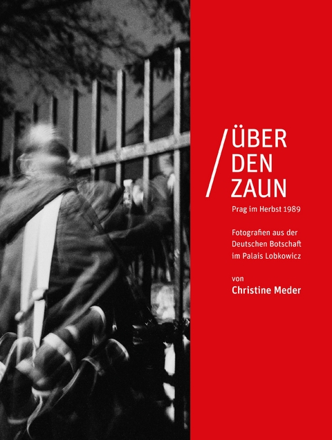 Über den Zaun - Christine Meder