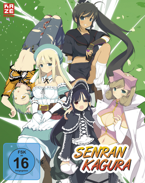 Senran Kagura - Gesamtausgabe - Episode 01-12 (2 DVDs) - Steelcase Edition - Takashi Watanabe