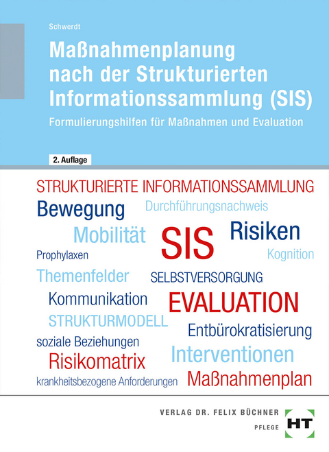 Maßnahmenplanung nach der Strukturierten Informationssammlung (SIS) - Christine Schwerdt