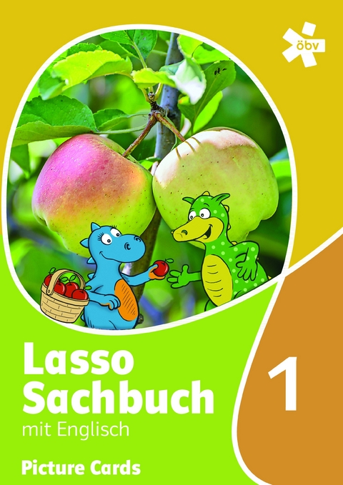 Lasso Sachbuch mit Englisch 1. Für den integrativen Englischunterricht, Picture Cards