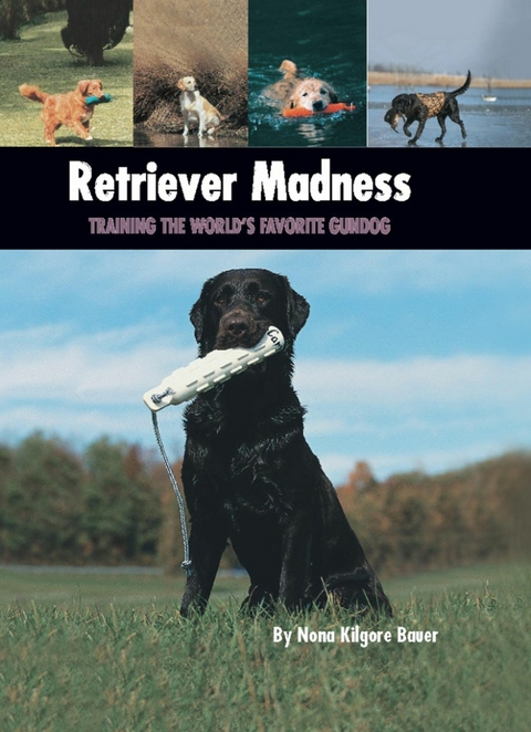 Retriever Madness -  Nona Kilgore Bauer