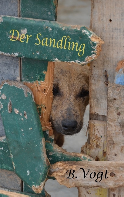 Der Sandling - Benjamin Vogt