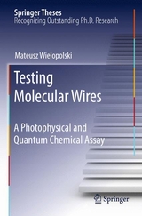 Testing Molecular Wires - Mateusz Wielopolski