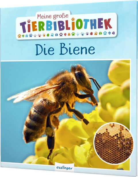 Meine große Tierbibliothek: Die Biene - Paul Starosta