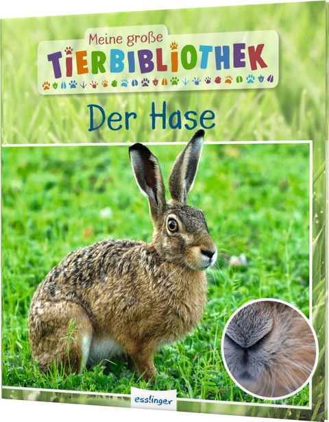 Meine große Tierbibliothek: Der Hase - Dr. Jens Poschadel