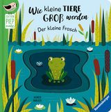 Edition Piepmatz: Wie kleine Tiere groß werden: Der kleine Frosch - Gabriele Clima