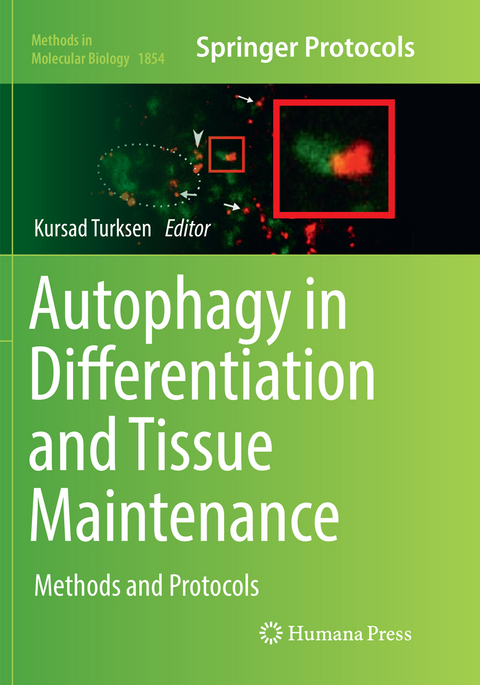 Autophagy in Differentiation and Tissue Maintenance - 