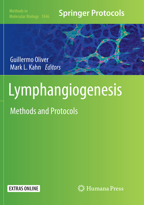 Lymphangiogenesis - 