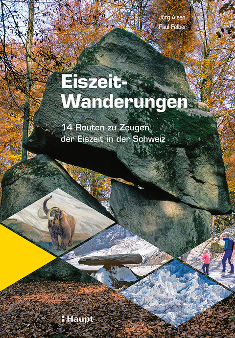 Eiszeit-Wanderungen - Jürg Alean, Paul Felber