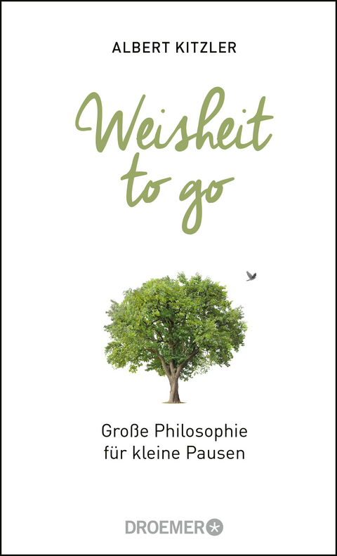 Weisheit to go - Albert Kitzler