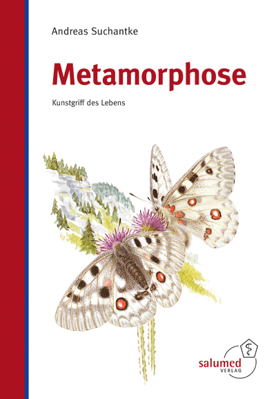 Metamorphose - Andreas Suchantke