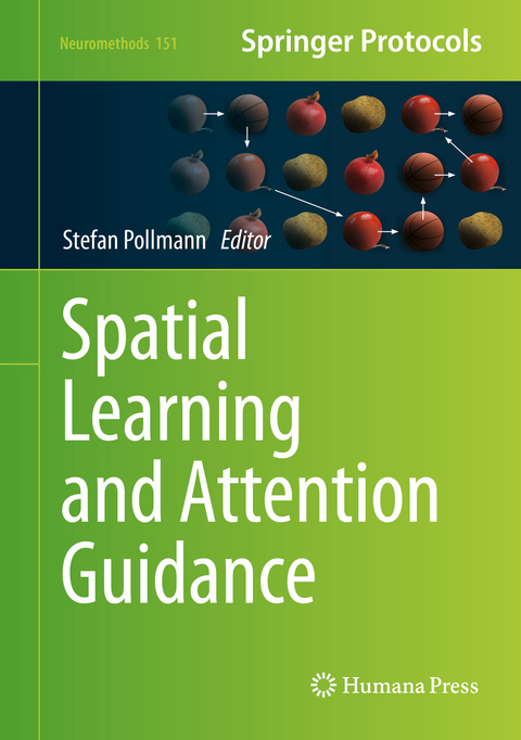 Spatial Learning and Attention Guidance - 