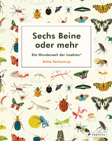 Sechs Beine oder mehr – Die Wunderwelt der Insekten und Spinnen - Britta Teckentrup