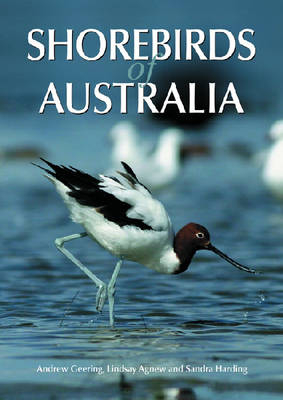 Shorebirds of Australia -  Lindsay Agnew,  Andrew Geering,  Sandra Harding