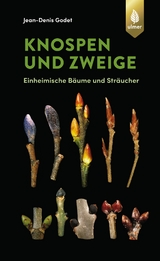 Knospen und Zweige - Godet, Jean-Denis