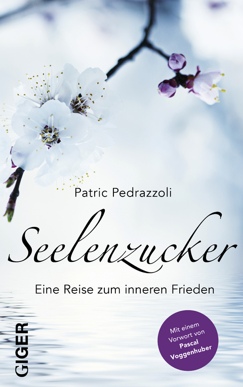 Seelenzucker - Patric Pedrazzoli