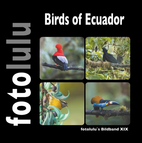 Birds of Ecuador -  fotolulu