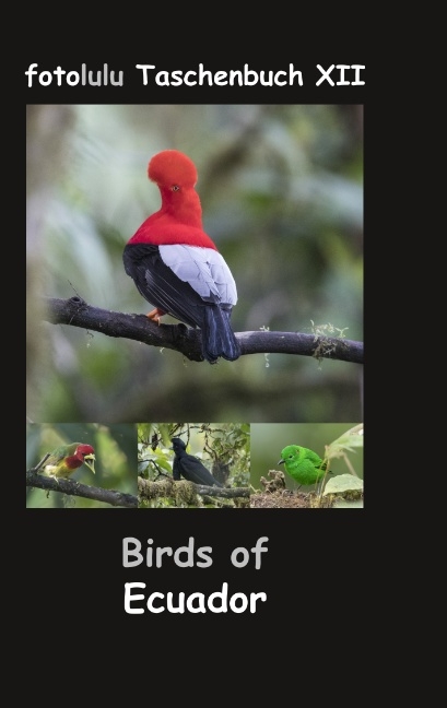 Birds of Ecuador -  fotolulu