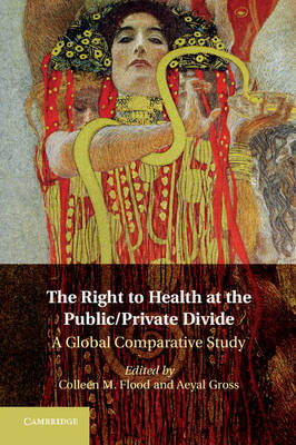 Right to Health at the Public/Private Divide - 