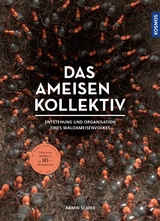 Das Ameisenkollektiv - Armin Schieb