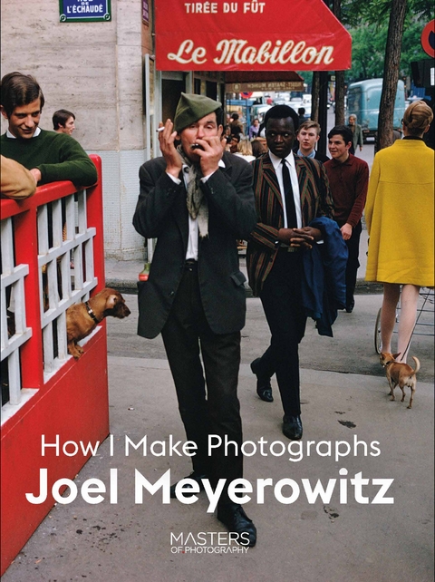 Joel Meyerowitz - Joel Meyerowitz