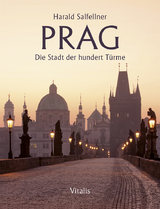 Prag - Salfellner, Harald