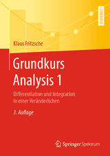 Grundkurs Analysis 1 - Fritzsche, Klaus