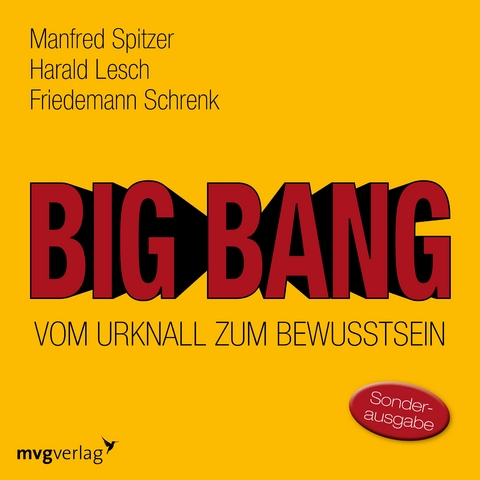 Big Bang: Vom Urknall zum Bewusstsein - Manfred Spitzer, Harald Lesch, Friedemann Schrenk