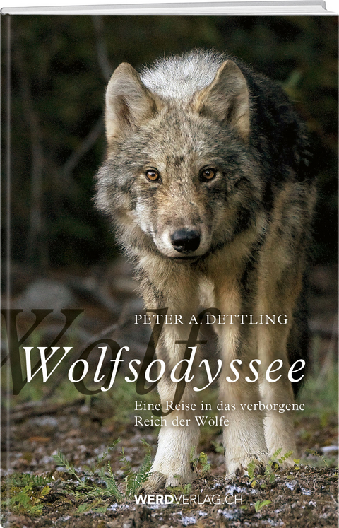 Wolfsodyssee - Peter A. Dettling