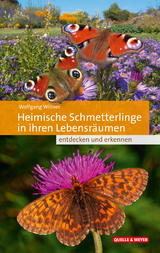 Heimische Schmetterlinge in ihren Lebensräumen - Willner, Wolfgang