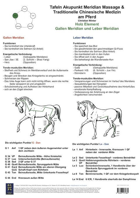 Holz Element. Gallen und Leber Meridian. - Christian Winter