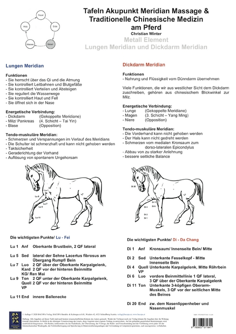 Metall Element. Lungen und Dickdarm Meridian. - Christian Winter