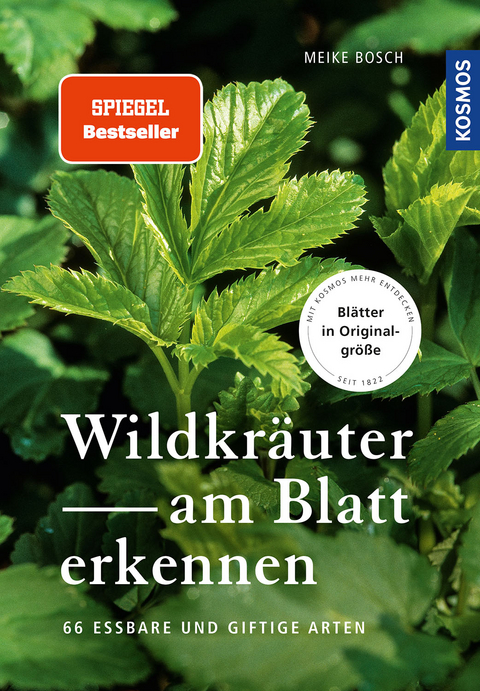 Wildkräuter am Blatt erkennen - Meike Bosch