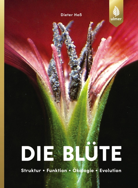 Die Blüte - Dieter Heß