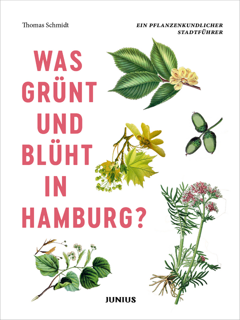 Was grünt und blüht in Hamburg? - Thomas Schmidt