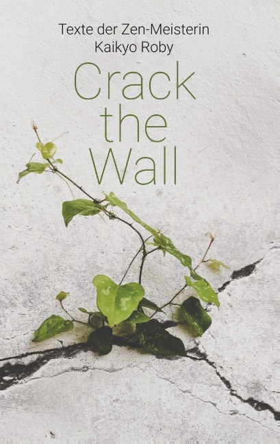 Crack the Wall - 